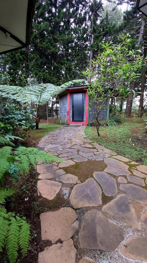Vila Kolmas 59 Villa Bongkor Bagian luar foto