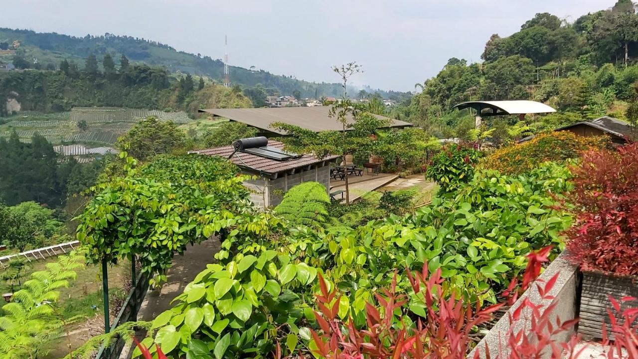 Vila Kolmas 59 Villa Bongkor Bagian luar foto