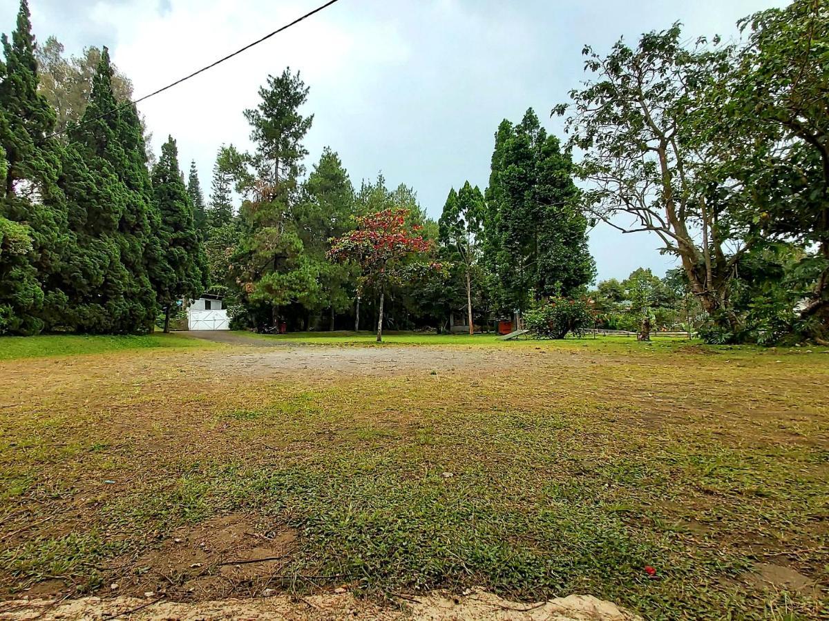 Vila Kolmas 59 Villa Bongkor Bagian luar foto
